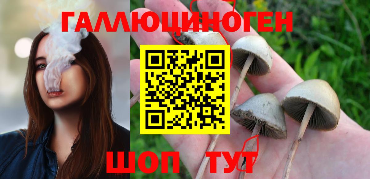 Кострома  Псилоцибиновые грибы мухоморы  Галлюциногенные грибы мицелий  Вход с VPN 